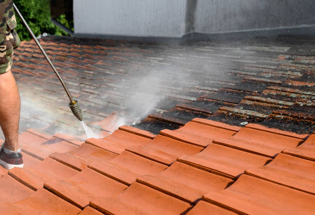 Best Exterior Home Cleaning  in New Hackensack, NY