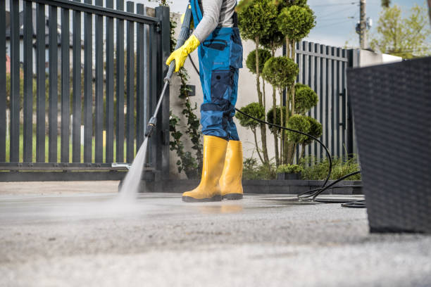 Best House Pressure Washing  in New Hackensack, NY